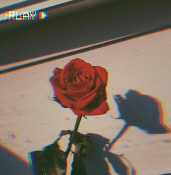 Meet the Posher Other - Meet your Posher, Maria